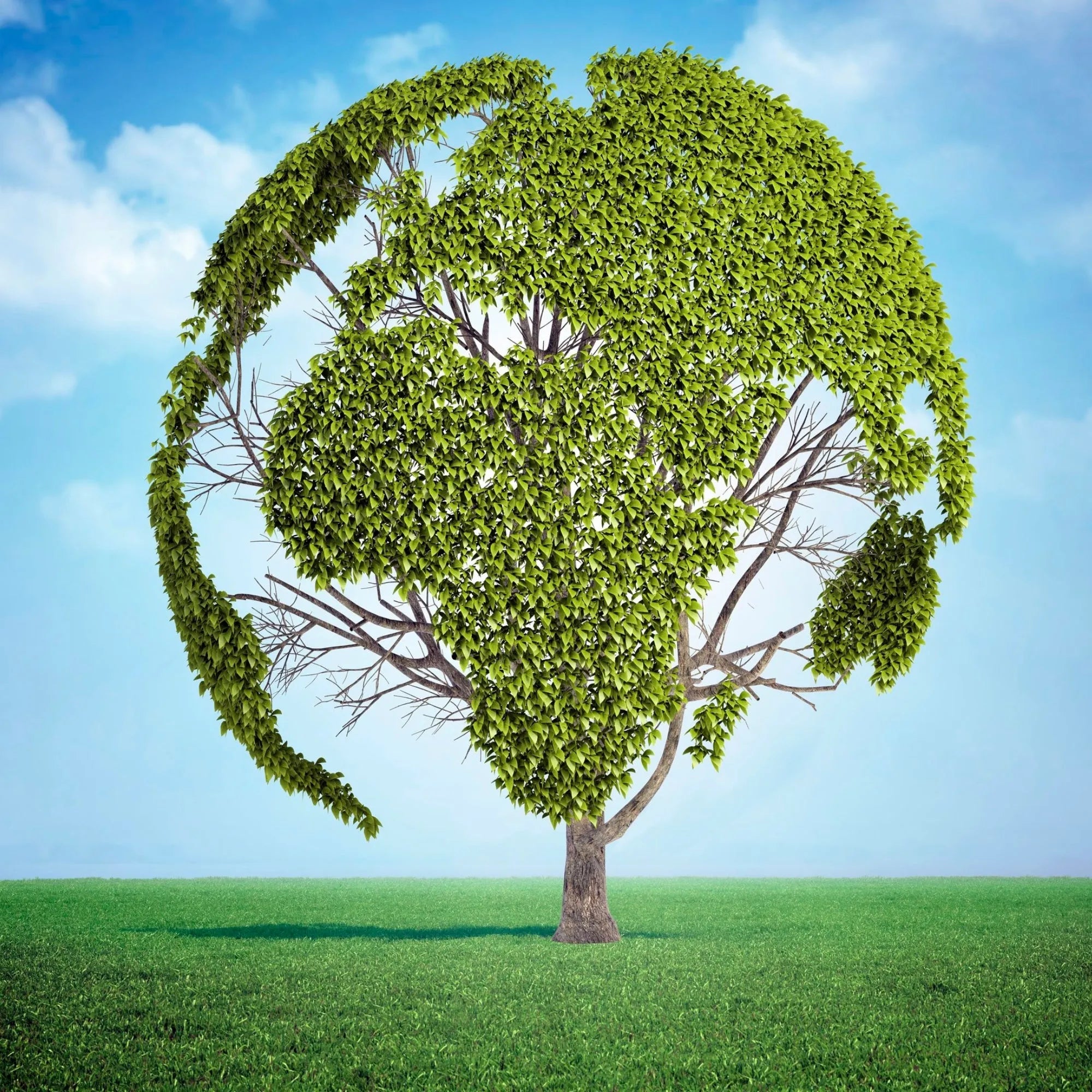 ecologie-nb-beauty-paris - NB BEAUTY PARIS